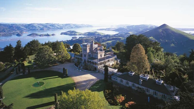 Mainland & Otago Peninsula Tour - What to Expect During the Day