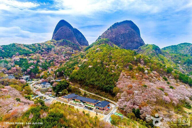 Maisan Cherry Blossom and Jeonju Hanok Village - Key Points