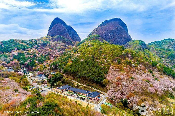 Maisan Cherry Blossom and Jeonju Hanok Village - FAQ