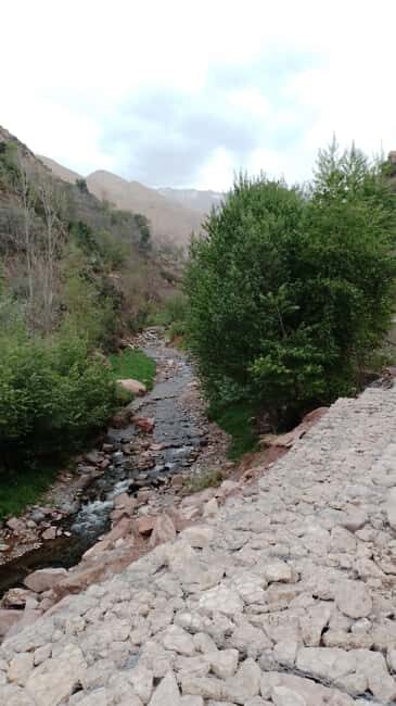 Majestic Atlas Mountains: A private Journey Beyond Marrakech - Who This Tour Is Perfect For