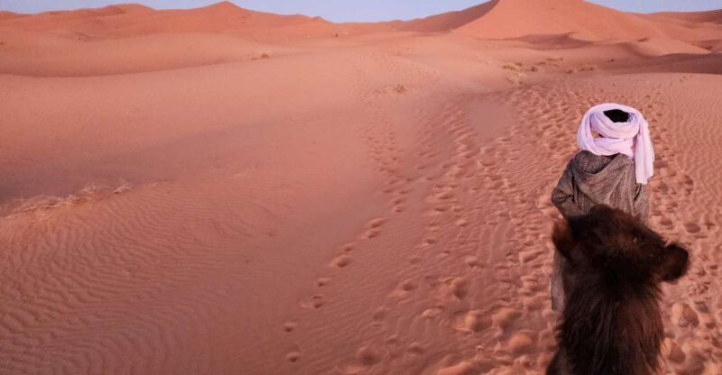Majestic Desert: 3-Day Luxury Journey from Marrakech to Fes - The Pros: What Travelers Love