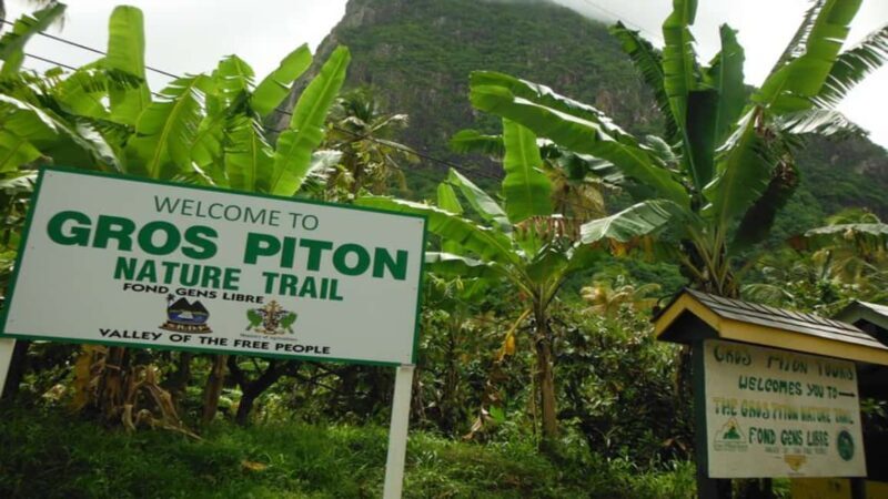 Majestic Gros Piton Hiking Day Trip - Why You Should Consider This Tour