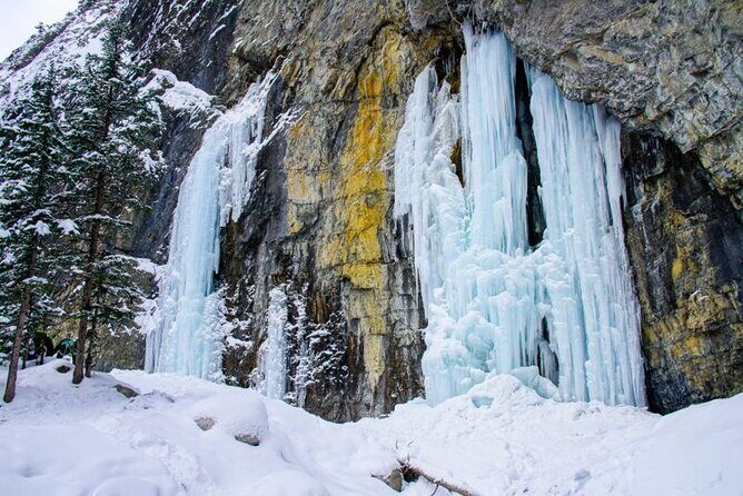 Majestic Grotto Canyon Ice Walk tour from Banff Calgary Canmore - Key Points