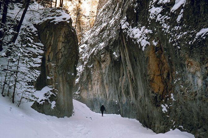 Majestic Grotto Canyon Ice Walk tour from Banff Calgary Canmore - Transportation and Group Size