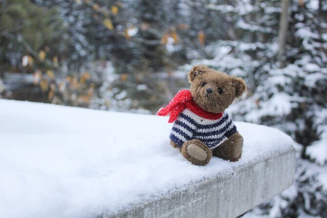 Majestic Grotto Canyon Ice Walk tour from Banff Calgary Canmore - Frequently Asked Questions
