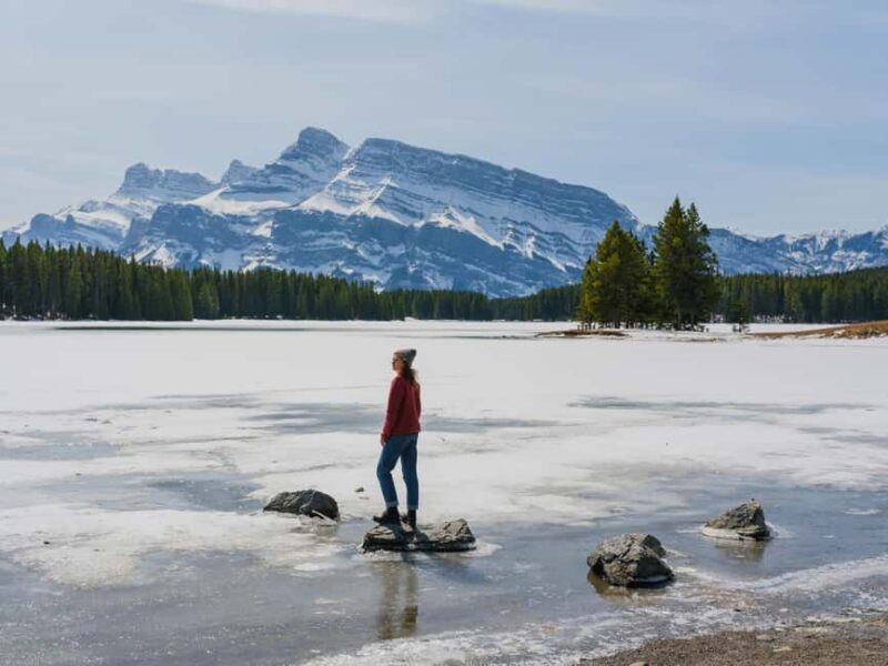 Majestic Icefield Private Day Tour from Calgary - Detailed Breakdown of the Itinerary