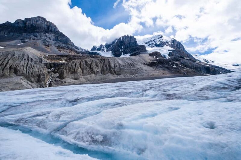 Majestic Icefield Private Day Tour from Calgary - Authentic Insights from Reviews