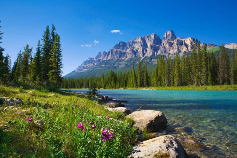 Majestic Icefield Private Day Tour from Calgary - Who Should Consider This Tour?