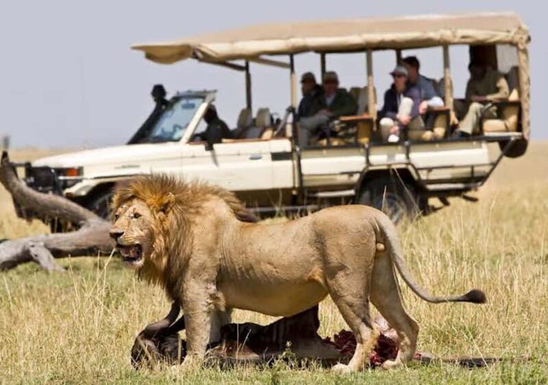 Majestic landscapes: A 5day Safari Adventure - Exploring Tanzania’s Top Parks in 5 Days