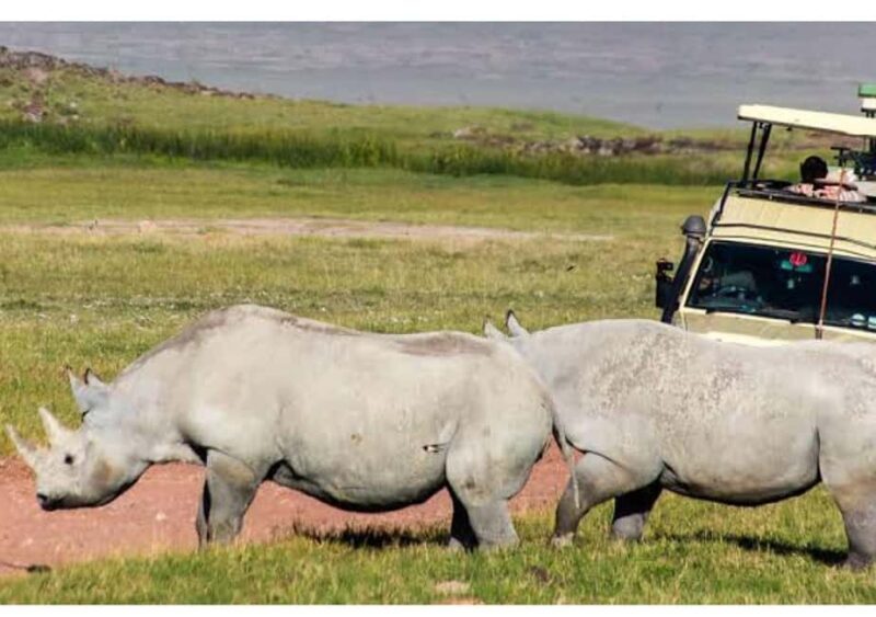 Majestic landscapes: A 5day Safari Adventure - Who Should Consider This Tour?
