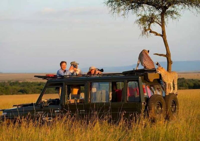 Majestic landscapes: A 5day Safari Adventure - The Sum Up