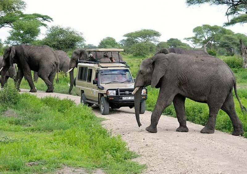 Majestic landscapes: A 5day Safari Adventure - FAQ