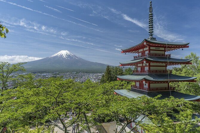Majestic Mt. Fuji & Hakone Retreat A Private Day Tour from Tokyo - The Itinerary in Detail