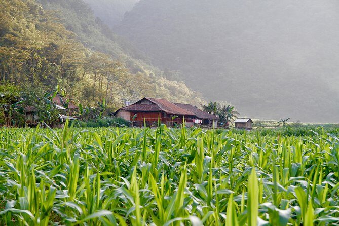 Majesty Of Untouched Northern Vietnam Tour 6 Days - Who Will Love This Tour?