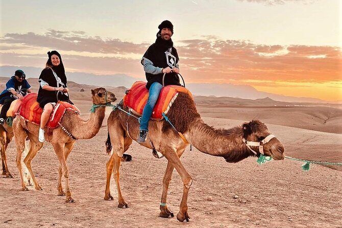 Majorel garden with lunch and camel ride Experience in Agafay - Key Points