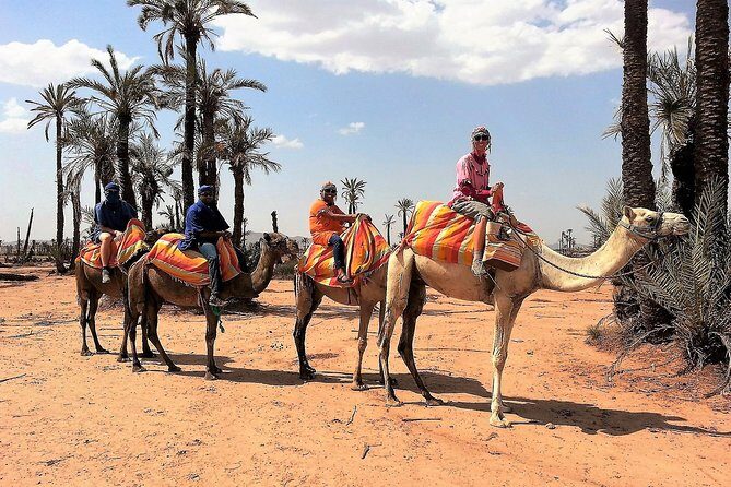 Majorelle Garden and Camel Ride Tour from Marrakech - The Sum Up