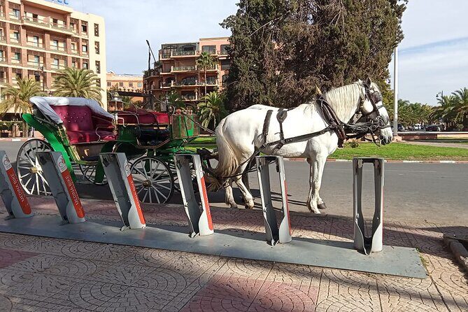 Majorelle-Menara garden & the Yves Saint Laurent museum Horse carriage tours - FAQs