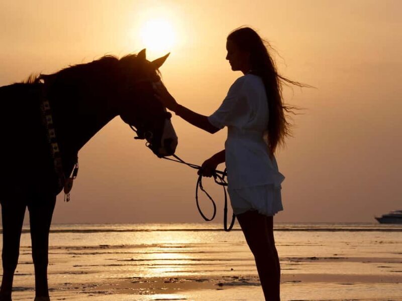 Makadi Bay: Horse Riding in Desert & Sea w Guide + Transfers - What You Can Expect from the Horse Riding Tour