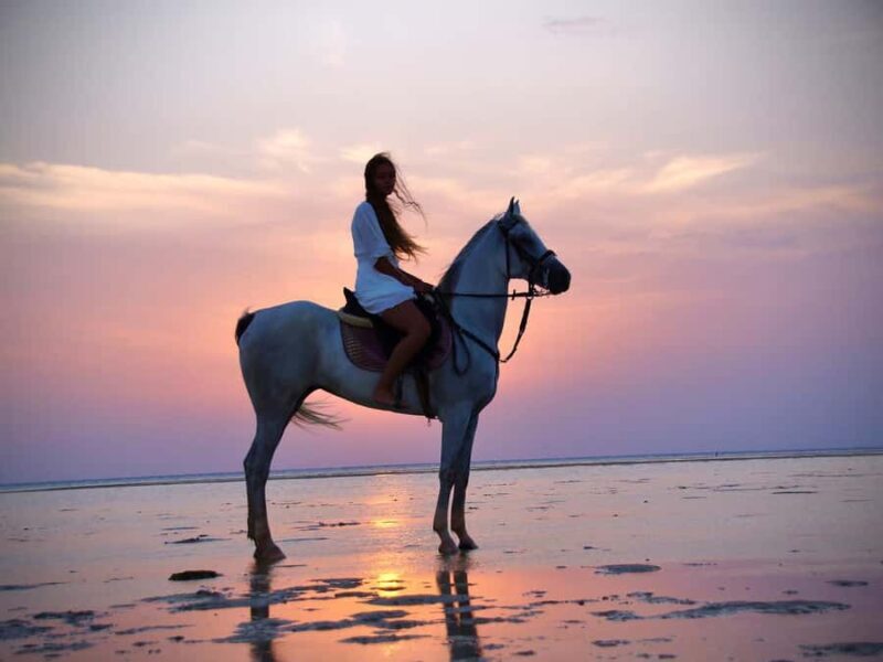 Makadi Bay: Horse Riding in Desert & Sea w Guide + Transfers - The Experience Provider – Gamila Horseriding