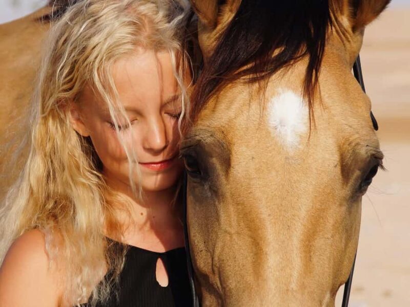 Makadi Bay: Horse Riding in Desert & Sea w Guide + Transfers - Final Thoughts