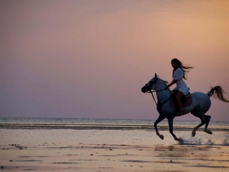 Makadi Bay: Horse Riding in Desert & Sea w Guide + Transfers - FAQ