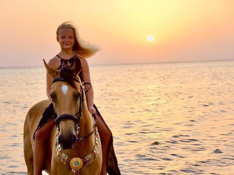 Makadi Bay: Horse Riding in Desert & Sea w Guide + Transfers - Authenticity and Care: What Really Makes This Special