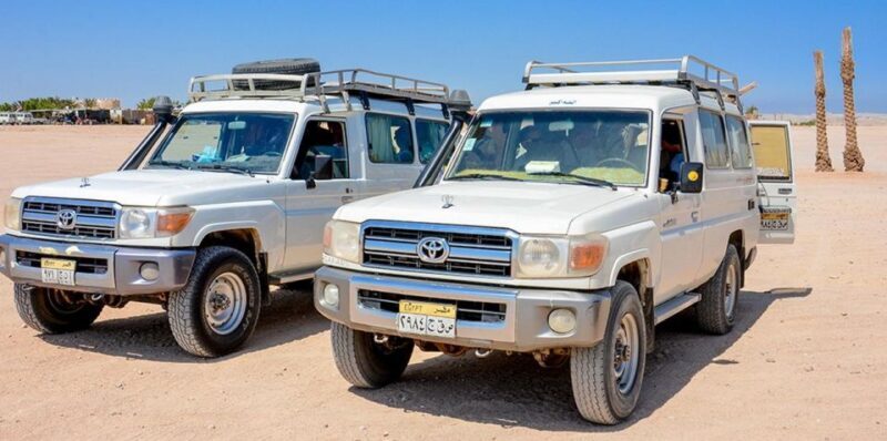 Makadi Bay: Mega Tour Jeep, ATV, Buggy, Camel, Dinner & Show - Key Points