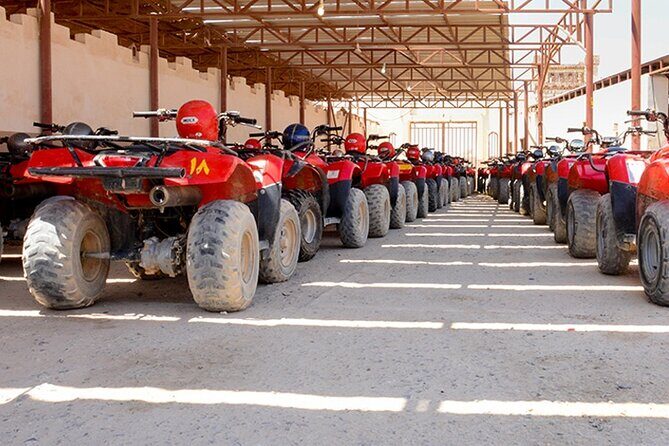 Makadi Bay: Sunset Quad & ATV Adventure & Seaview - What to Expect from the Tour