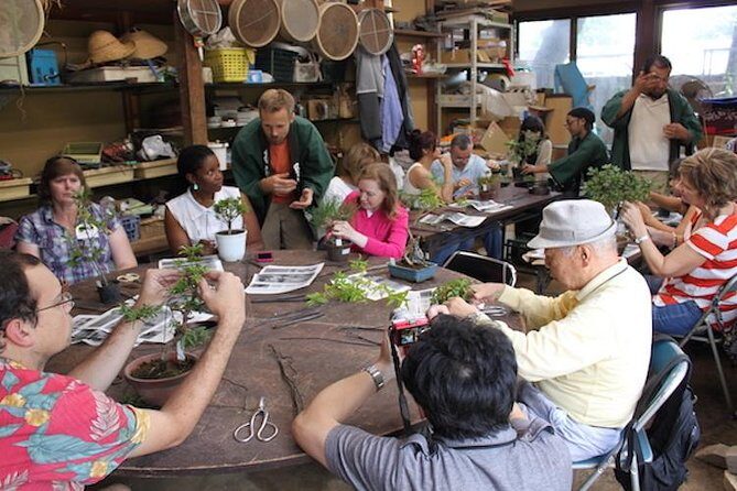 Make your own BONSAI with a professional artist in Tokyo - Key Points