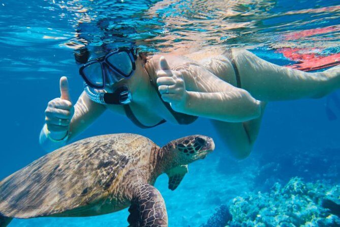 Makena Turtle Town Eco Adventure in Maui - An In-Depth Look at the Makena Turtle Town Eco Adventure