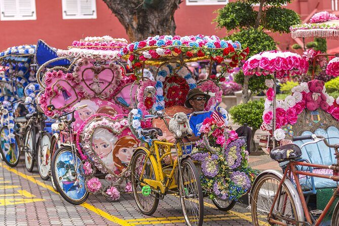 Malacca Historical Private Tour With Personal Chauffeur - A Detailed Look at the Malacca Private Tour