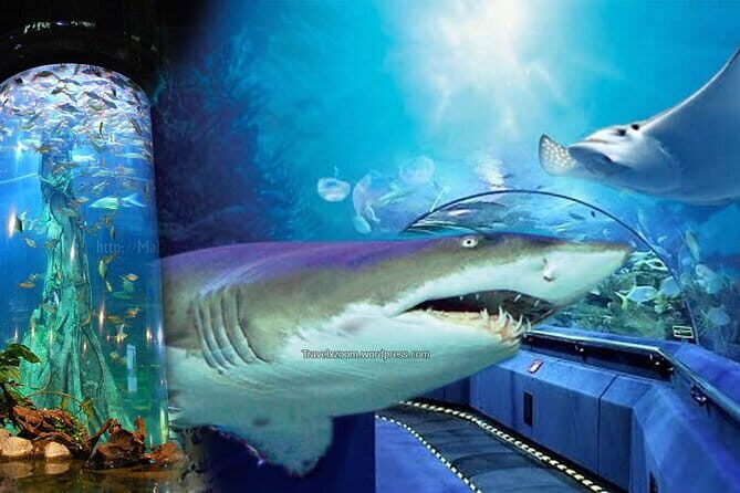 Malaysia: Aquaria KLCC Admission E-Ticket - The Value for Your Money