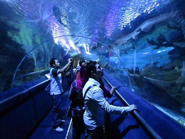Malaysia: Aquaria KLCC Entry Ticket - Exploring Kuala Lumpur’s Underwater World: A Review of the Aquaria KLCC Entry Ticket