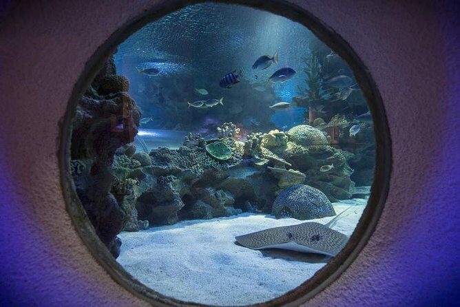 Malaysia: Aquaria KLCC Entry Ticket - An In-Depth Look at the Aquaria KLCC Experience