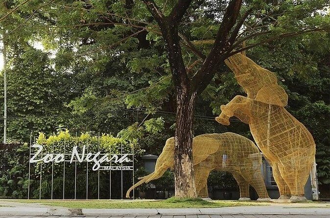 Malaysia National Zoo (Zoo Negara) with Giant Panda Viewing - Who Would Love This Tour?