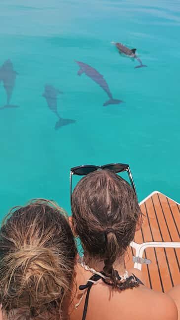 Maldives, Dhiffushi Shared Sunset Dolphin Cruise - Authentic Encounters in a Beautiful Setting