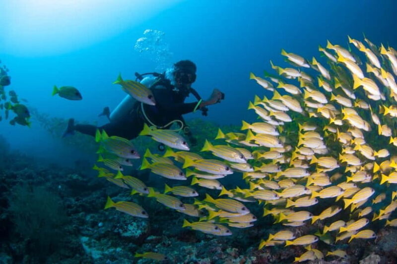 Maldives: Discover Scuba Diving - The Experience: What You Can Expect