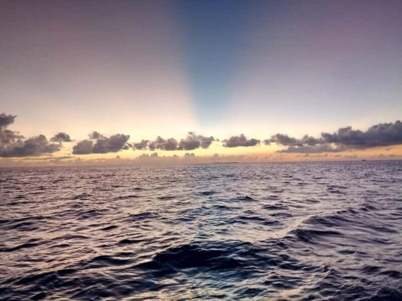 Maldives: Sunset Cruise with Dolphin Watching - A Deep Dive into the Experience