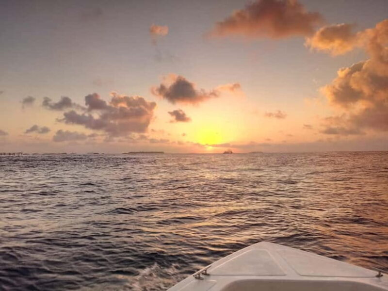 Maldives: Sunset Cruise with Dolphin Watching - The Value Proposition