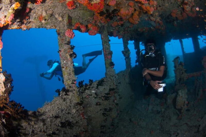 Maldives: Victory Shipwreck Scuba Dive - Key Points