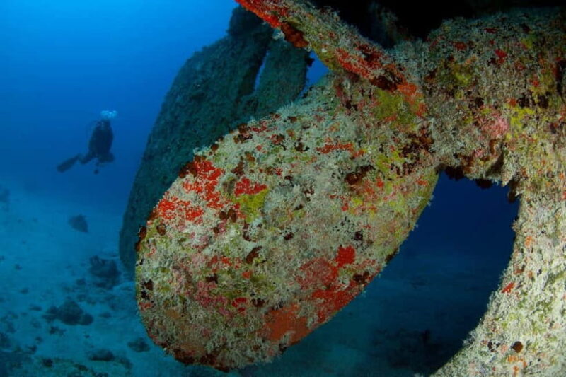 Maldives: Victory Shipwreck Scuba Dive - The Real Value of This Experience