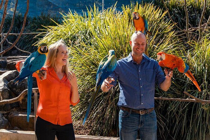 Maleny Botanic Gardens Bird Aviary Experience Ticket - Authentic Visitor Feedback