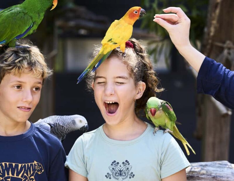 Maleny: Maleny Botanic Gardens & Bird World Entry Ticket - The Sum Up