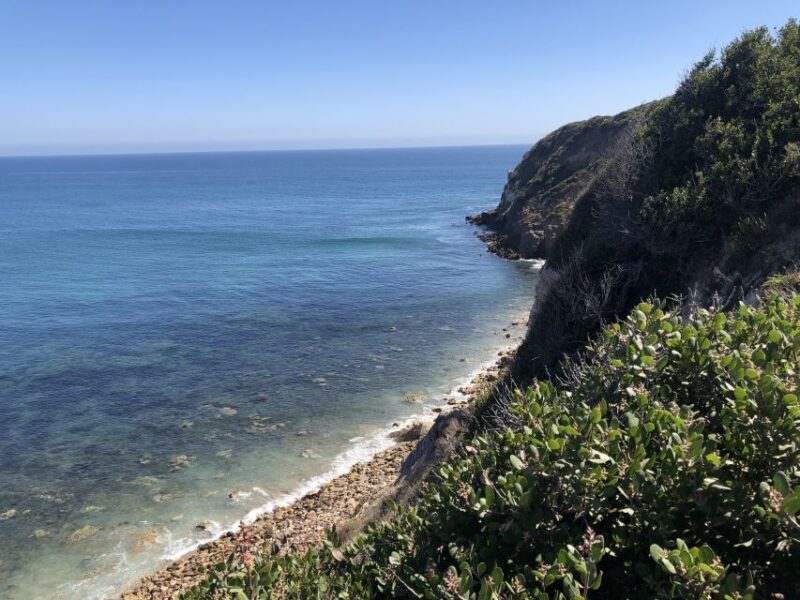 Malibu Beach: Surf Tour in a Vintage VW Van - The Sum Up