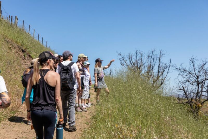 Malibu: Guided Vineyard Hike with Photo Stops and Wine - Final Thoughts