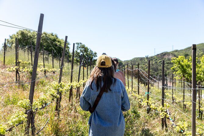 Malibu: Guided Vineyard Hike with Photo Stops and Wine - Key Points