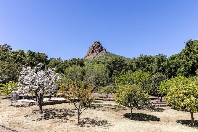 Malibu: Guided Vineyard Hike with Photo Stops and Wine - Why This Tour Might Be Just Right for You