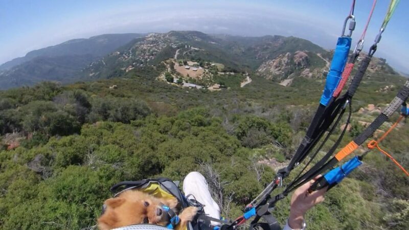 Malibu Hills to Beach: Tandem Paragliding Flight Adventure - The Sum Up: Who Should Consider This Tour?