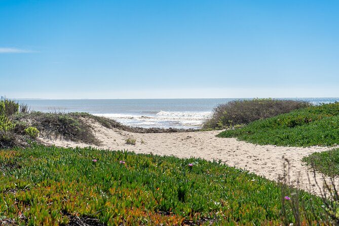 Malibu Magic: Private Coastal Day Trip from Los Angeles - Is It Worth the Price?