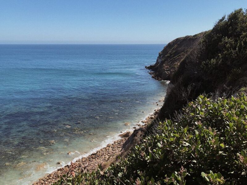 Malibu: Vintage VW Sightseeing Tour and Wine Tasting - The Sum Up